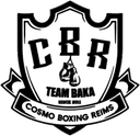 Team Baka crest