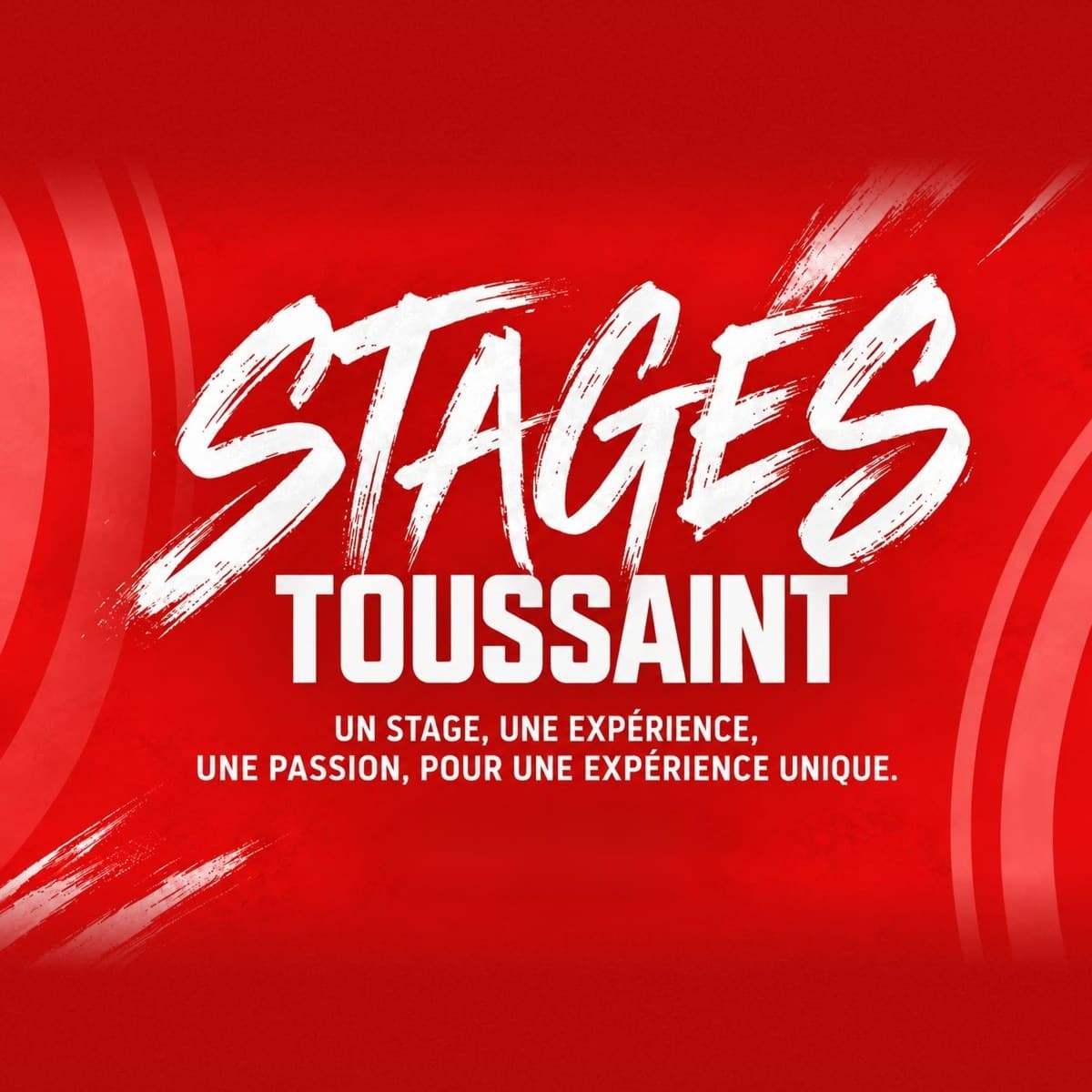Stage vacances de la Toussaint, du 19 au 23 octobre 2026